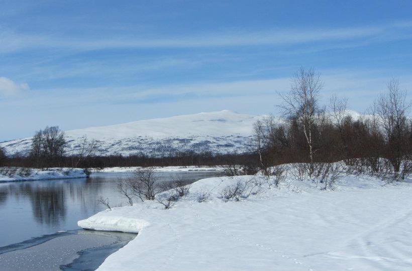 Hotel Stf Hemavans Fjällcenter | Hemavan | Vasterbottens Lan | Sweden 8