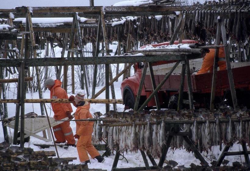 Lofoten Arctic Hotel Knusarn | Henningsvaer | Nordland | Norway 17