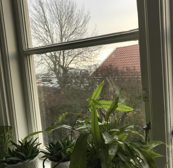 Bed and Breakfast Bd&Breakfast Tullhamnens | Kalmar | Kalmar Lan | Sweden 13