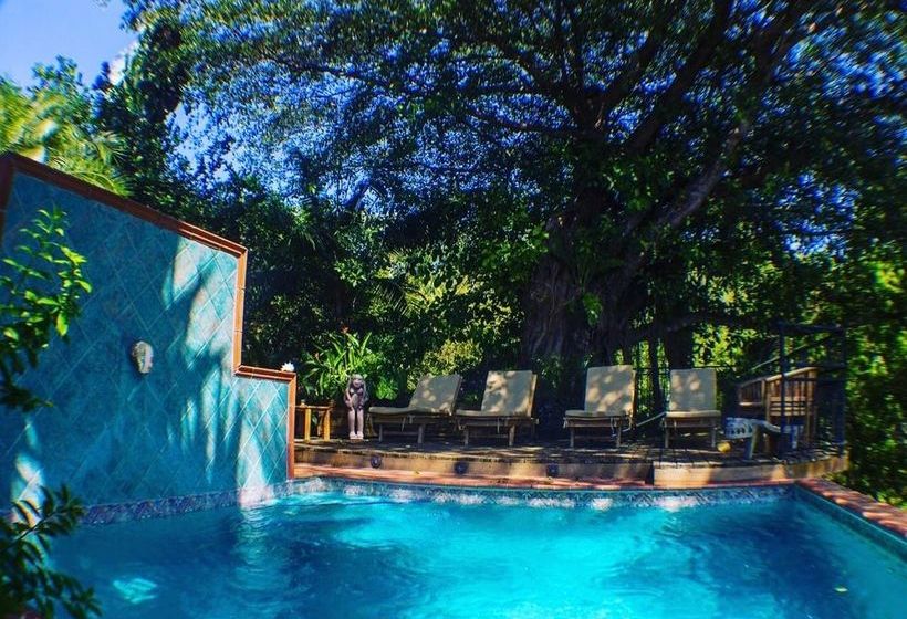 Hotel Seagull Cove Resort | Boca Chica | Chiriquí | Panamá 11