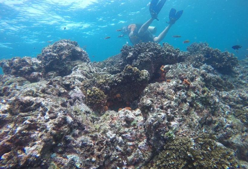 Hotel Seagull Cove Resort | Boca Chica | Chiriquí | Panamá 13