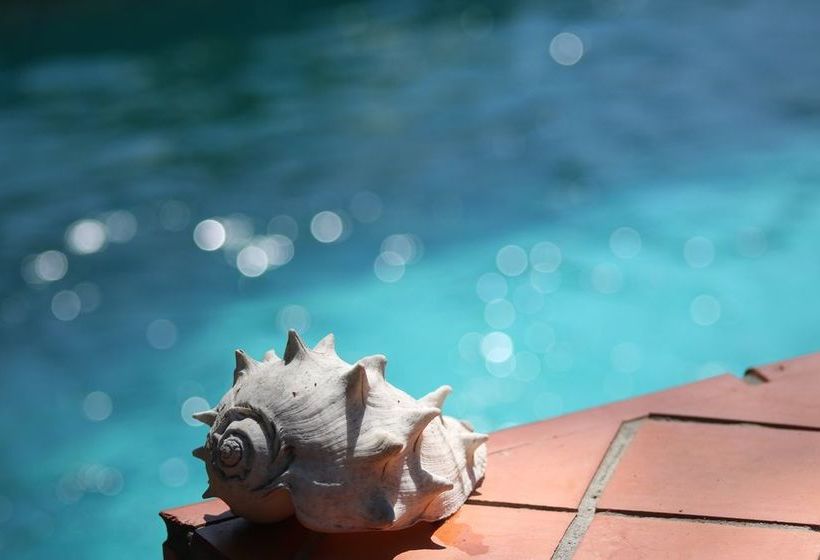 Hotel Seagull Cove Resort | Boca Chica | Chiriquí | Panamá 8