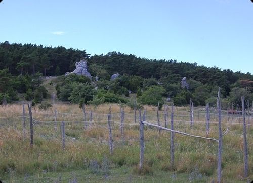 Lickershamns Semesterby | Tingstäde | Gotlands Lan | Sweden 11