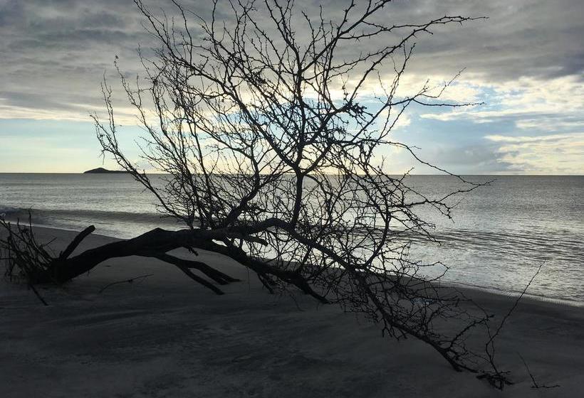 Taca Tucan Hostel | Playa Blanca | Coclé | Panamá 1