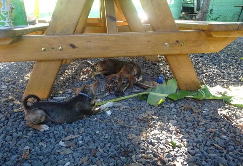 Taca Tucan Hostel | Playa Blanca | Coclé | Panamá 12