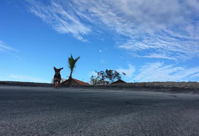 Taca Tucan Hostel | Playa Blanca | Coclé | Panamá 2