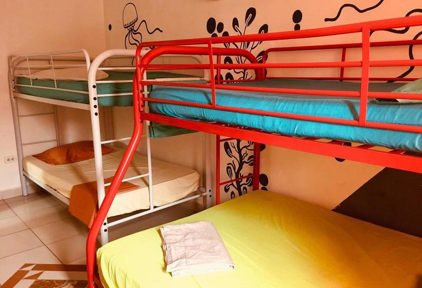 Taca Tucan Hostel | Playa Blanca | Coclé | Panamá 4