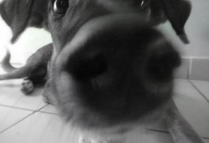 Taca Tucan Hostel | Playa Blanca | Coclé | Panamá 8