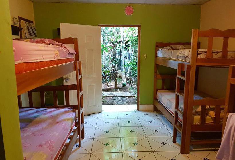 Bambú Hostel | David | Chiriquí | Panamá 10