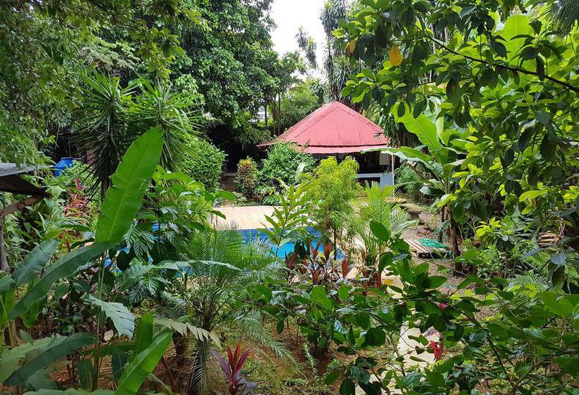 Bambú Hostel | David | Chiriquí | Panamá 12