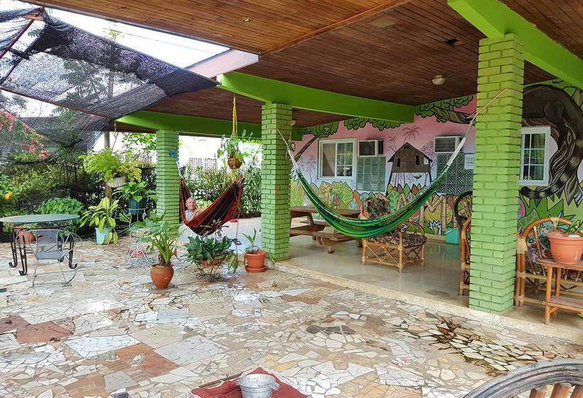 Bambú Hostel | David | Chiriquí | Panamá 13