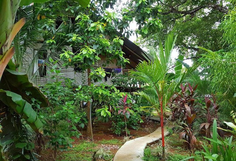 Bambú Hostel | David | Chiriquí | Panamá 14