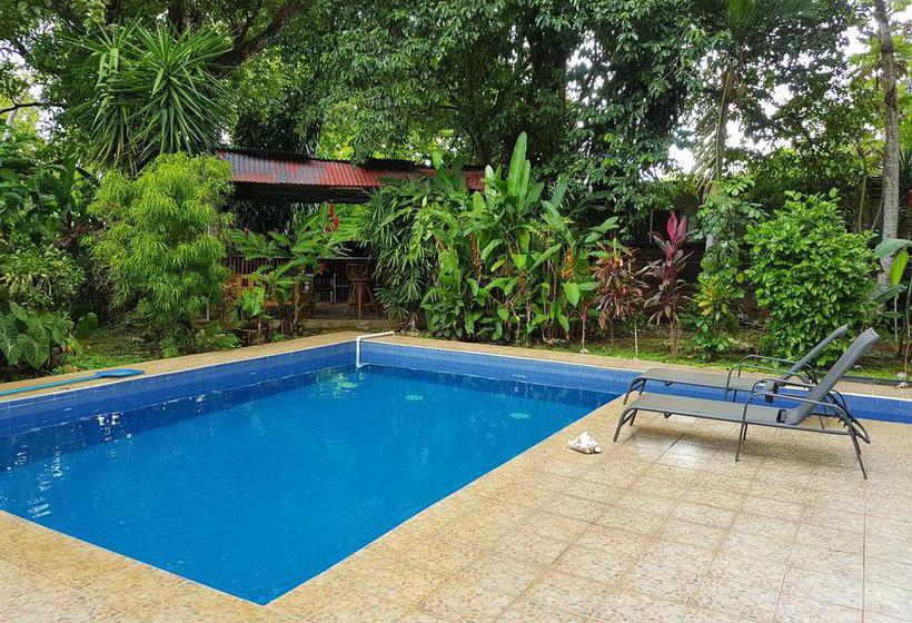 Bambú Hostel | David | Chiriquí | Panamá 15