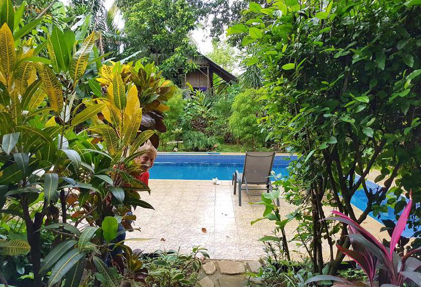 Bambú Hostel | David | Chiriquí | Panamá 16