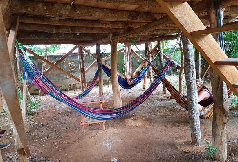 Bambú Hostel | David | Chiriquí | Panamá 6