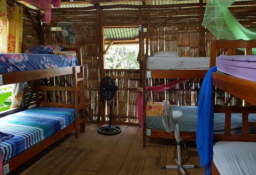 Bambú Hostel | David | Chiriquí | Panamá 7