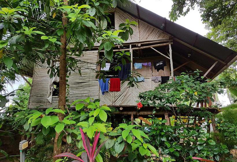 Bambú Hostel | David | Chiriquí | Panamá 9