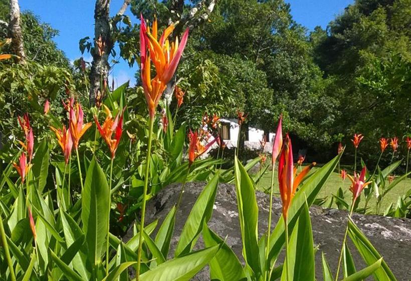 Albergue El Machico Boquete | Boquete | Chiriquí | Panamá 16