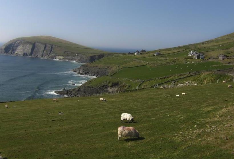 The Dingle Pub B&b | Dingle | Kerry | Irlande 16