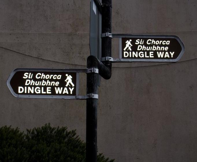 The Dingle Pub B&b | Dingle | Kerry | Irlande 20