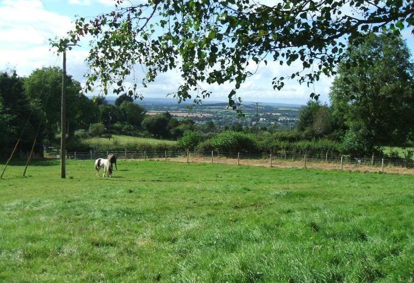 Bed and Breakfast Carrickmourne House | Thomastown | Kilkenny | Ireland 12