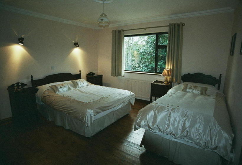 Bed and Breakfast Carrickmourne House | Thomastown | Kilkenny | Ireland 6