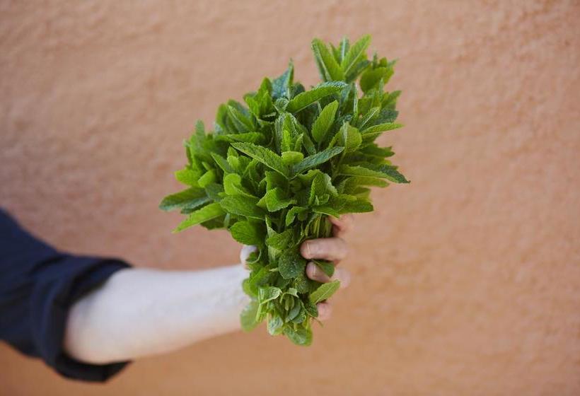 Hotel Karnelund Krog & Rum | Simrishamn | Skane | Suecia 10