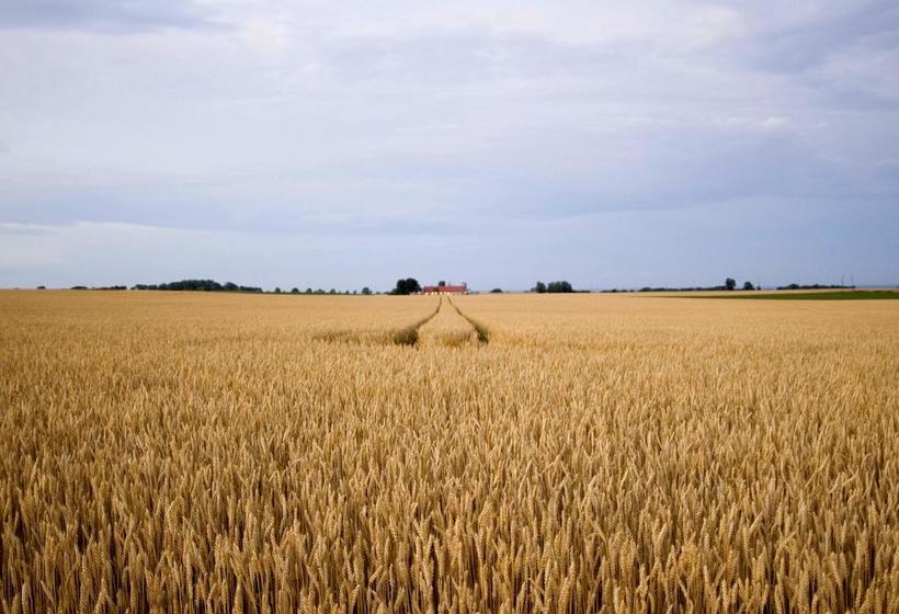 Hotel Karnelund Krog & Rum | Simrishamn | Skane | Suecia 20