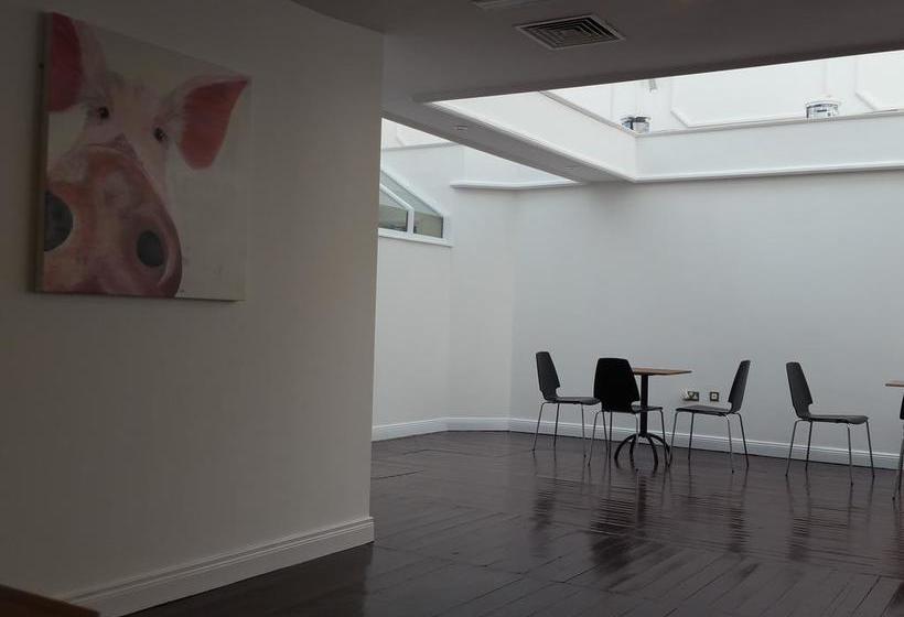 Motel Charlotte Rooms | Carlow | Carlow | Ireland 2