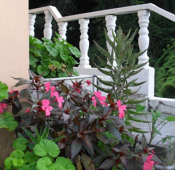 Las Orquídeas Bed & Breakfast | Cerro Punta | Chiriquí | Panamá 18