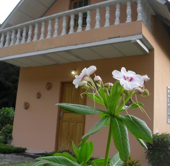 Las Orquídeas Bed & Breakfast | Cerro Punta | Chiriquí | Panamá 20