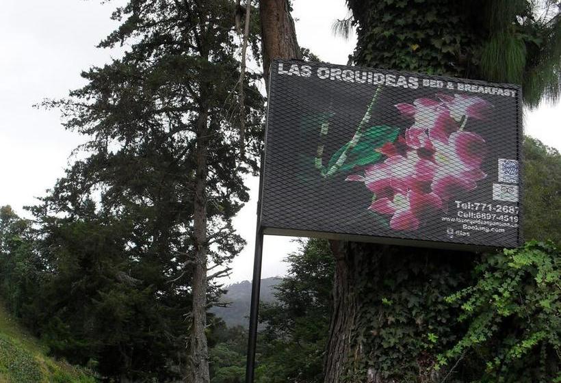 Las Orquídeas Bed & Breakfast | Cerro Punta | Chiriquí | Panamá 3