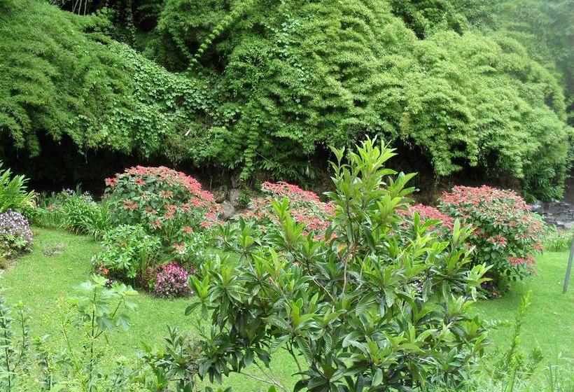 Las Orquídeas Bed & Breakfast | Cerro Punta | Chiriquí | Panamá 5