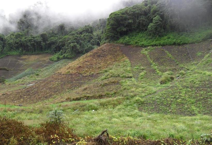 Las Orquídeas Bed & Breakfast | Cerro Punta | Chiriquí | Panamá 7