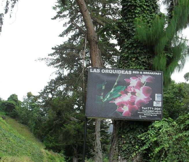 Las Orquídeas Bed & Breakfast | Cerro Punta | Chiriquí | Panamá 9