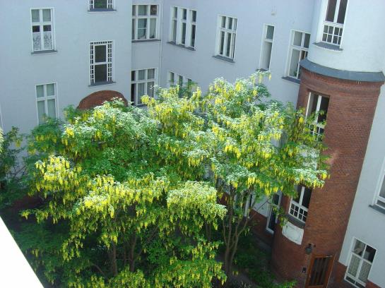 Hotel Kurfürst am Kurfürstendamm 14