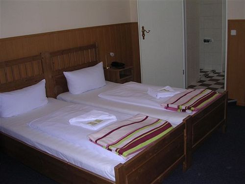 Rheingold Hotel Pension 17