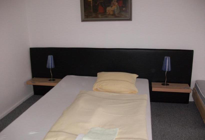 Hotel-pension Hensel Sascha 8