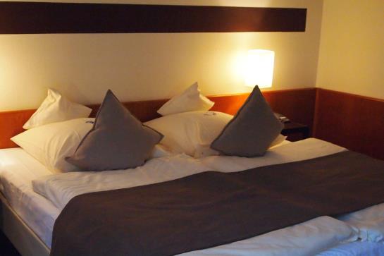 Hotel Am Stadtpark 12