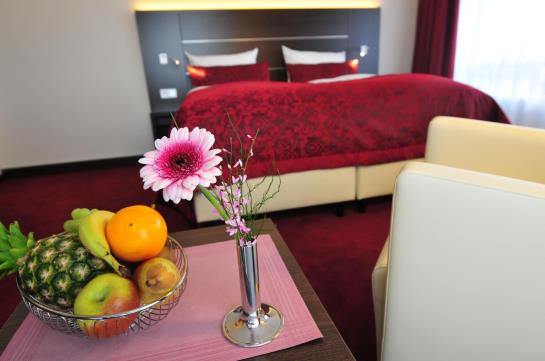 Rheingarten Rheinhotel 10