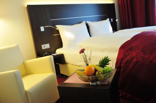 Rheingarten Rheinhotel 12