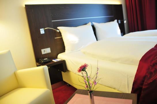 Rheingarten Rheinhotel 14