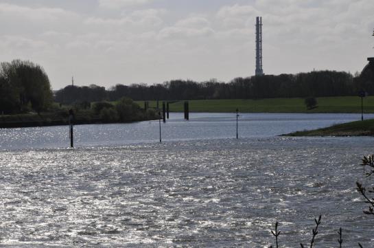 Rheingarten Rheinhotel 15