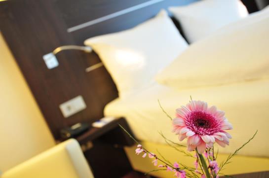 Rheingarten Rheinhotel 16