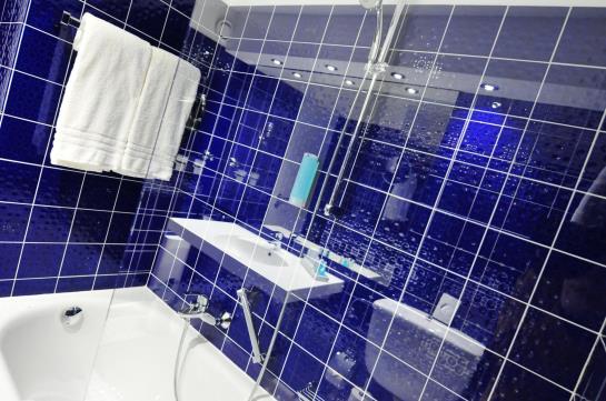 Rheingarten Rheinhotel 19