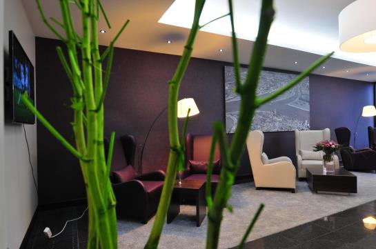 Rheingarten Rheinhotel 7