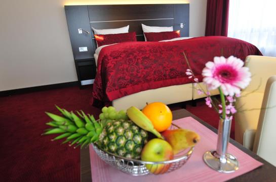 Rheingarten Rheinhotel 8