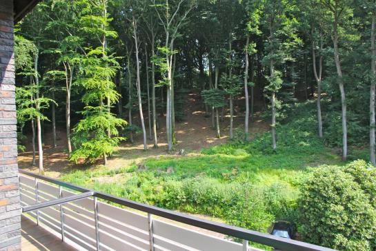 Waldhotel Porta Westfalica 1