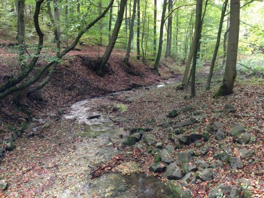 Waldhotel Porta Westfalica 3