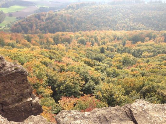Waldhotel Porta Westfalica 8